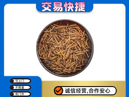 廊坊市永清回收散虫草